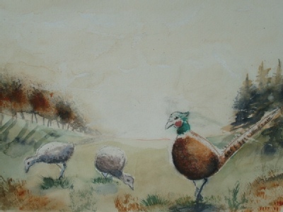 pheasants in water colour